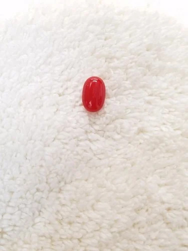 Natural Red Coral Gemstone (Moonga) - 12 Carat ( Rs 1,350 / Carat)